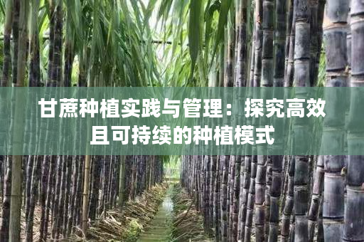 甘蔗种植实践与管理：探究高效且可持续的种植模式