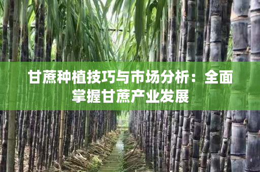 甘蔗种植技巧与市场分析：全面掌握甘蔗产业发展