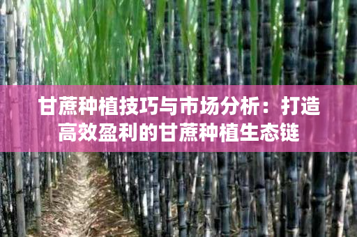 甘蔗种植技巧与市场分析：打造高效盈利的甘蔗种植生态链