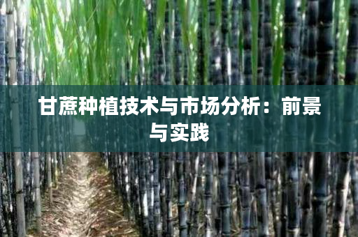 甘蔗种植技术与市场分析：前景与实践