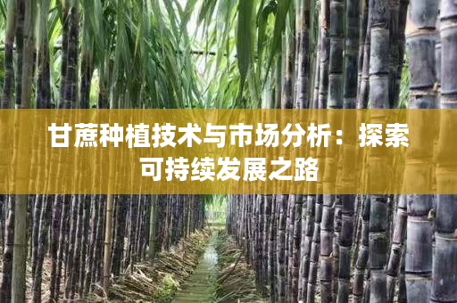 甘蔗种植技术与市场分析：探索可持续发展之路