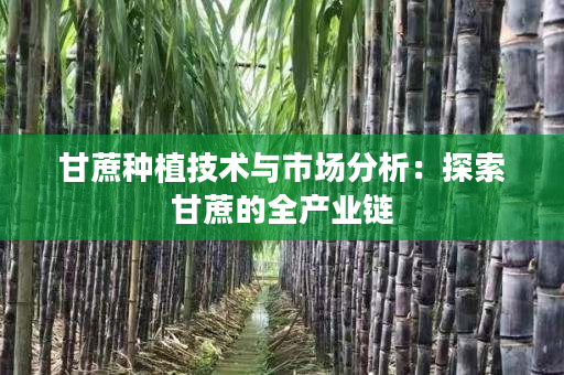 甘蔗种植技术与市场分析：探索甘蔗的全产业链