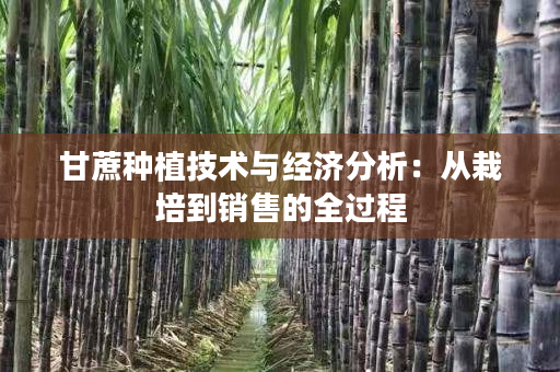 甘蔗种植技术与经济分析：从栽培到销售的全过程