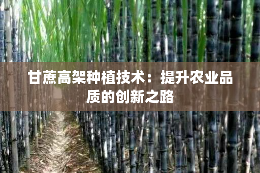 甘蔗高架种植技术：提升农业品质的创新之路