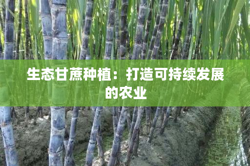 生态甘蔗种植：打造可持续发展的农业