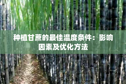 种植甘蔗的最佳温度条件：影响因素及优化方法