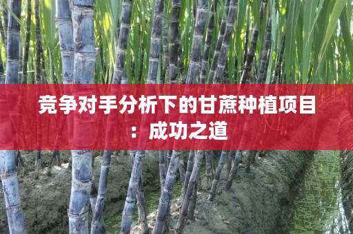 竞争对手分析下的甘蔗种植项目：成功之道