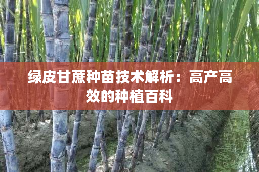 绿皮甘蔗种苗技术解析：高产高效的种植百科