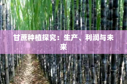 甘蔗种植探究：生产、利润与未来