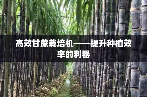 高效甘蔗栽培机——提升种植效率的利器