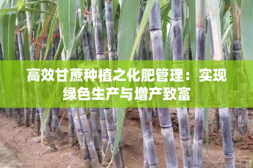 高效甘蔗种植之化肥管理：实现绿色生产与增产致富