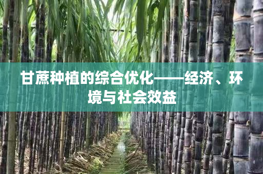 甘蔗种植的综合优化——经济、环境与社会效益