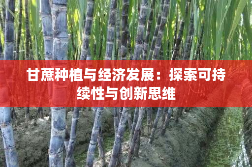 甘蔗种植与经济发展：探索可持续性与创新思维