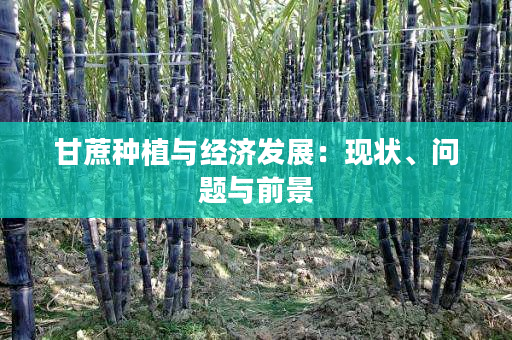 甘蔗种植与经济发展：现状、问题与前景