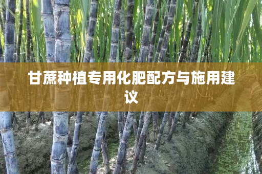 甘蔗种植专用化肥配方与施用建议