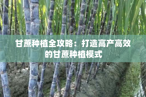 甘蔗种植全攻略：打造高产高效的甘蔗种植模式