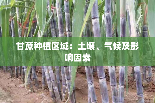 甘蔗种植区域：土壤、气候及影响因素